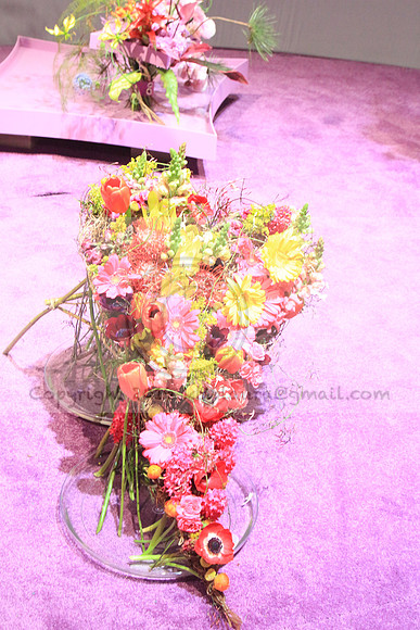 IMG_8507.PHS  MARCH 5  2019 KTIP LAURA'S PHOTOS