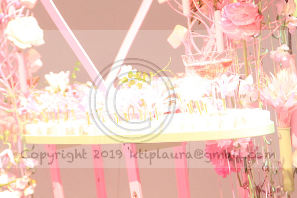 IMG_8515.PHS  MARCH 5  2019 KTIP LAURA'S PHOTOS