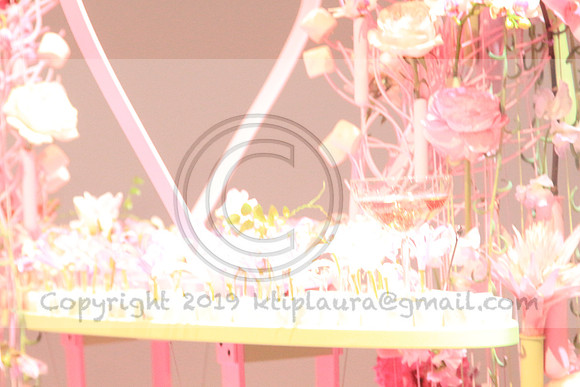 IMG_8517.PHS  MARCH 5  2019 KTIP LAURA'S PHOTOS