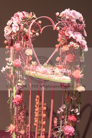 IMG_8522.PHS  MARCH 5  2019 KTIP LAURA'S PHOTOS