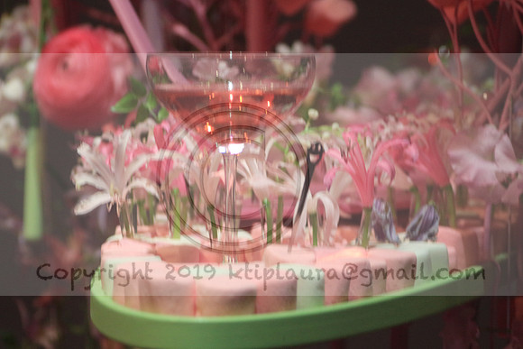 IMG_8536.PHS  MARCH 5  2019 KTIP LAURA'S PHOTOS