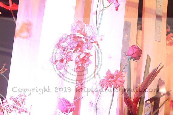IMG_8573.PHS  MARCH 5  2019 KTIP LAURA'S PHOTOS