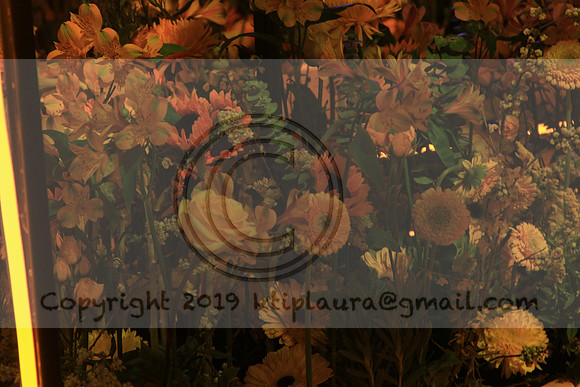 IMG_8589.PHS  MARCH 5  2019 KTIP LAURA'S PHOTOS