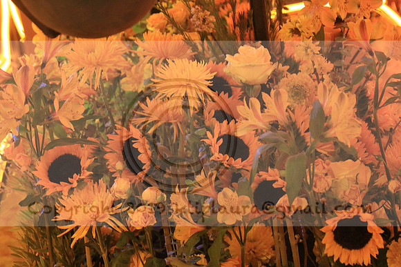 IMG_8597.PHS  MARCH 5  2019 KTIP LAURA'S PHOTOS