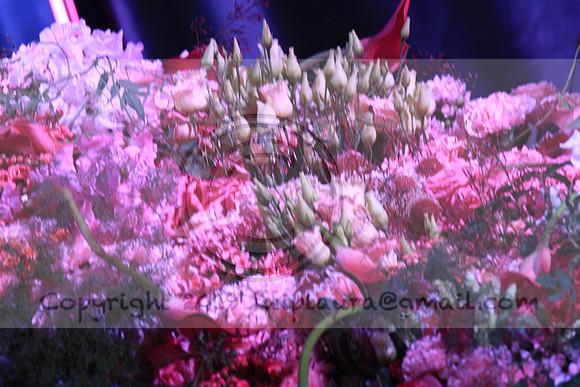 IMG_8608.PHS  MARCH 5  2019 KTIP LAURA'S PHOTOS