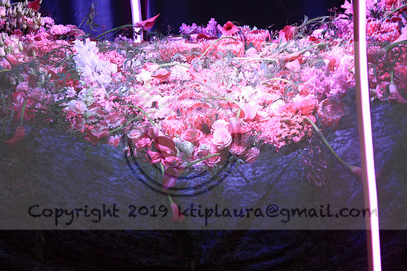 IMG_8610.PHS  MARCH 5  2019 KTIP LAURA'S PHOTOS