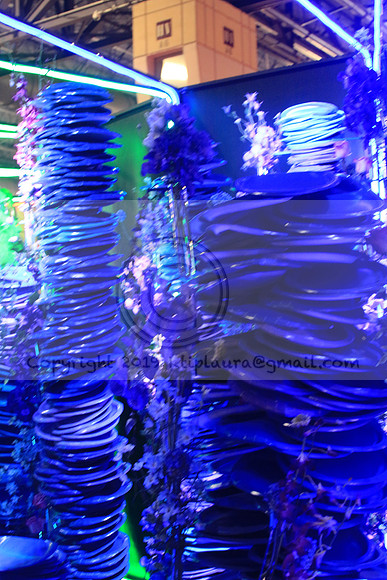 IMG_8620.PHS  MARCH 5  2019 KTIP LAURA'S PHOTOS