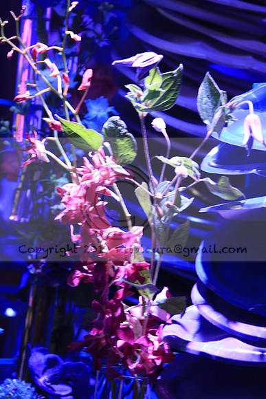 IMG_8623.PHS  MARCH 5  2019 KTIP LAURA'S PHOTOS