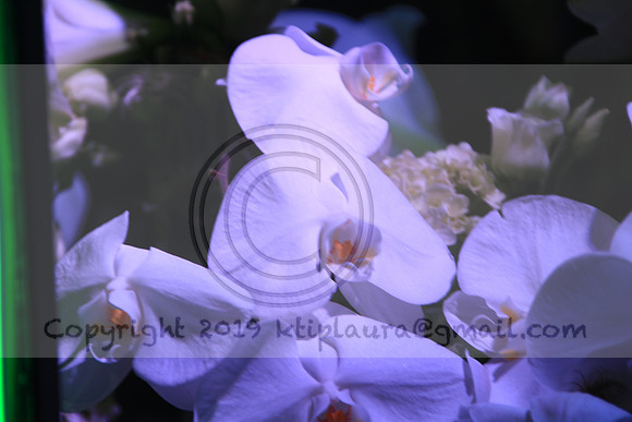 IMG_8633.PHS  MARCH 5  2019 KTIP LAURA'S PHOTOS