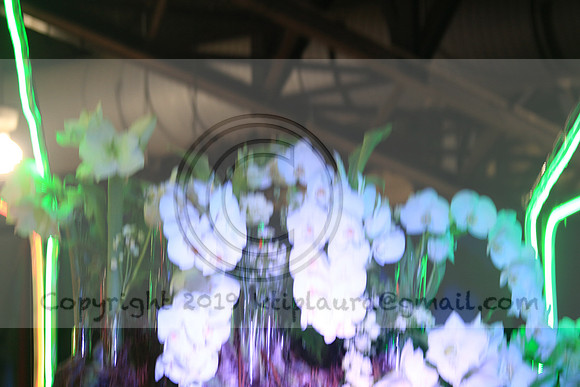 IMG_8635.PHS  MARCH 5  2019 KTIP LAURA'S PHOTOS