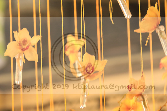 IMG_8643.PHS  MARCH 5  2019 KTIP LAURA'S PHOTOS