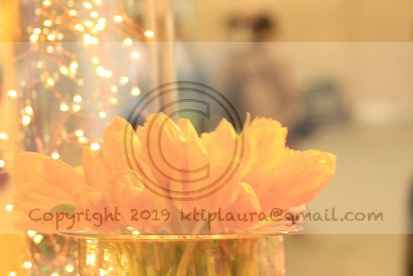 IMG_8645.PHS  MARCH 5  2019 KTIP LAURA'S PHOTOS