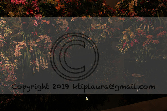IMG_8667.PHS  MARCH 5  2019 KTIP LAURA'S PHOTOS
