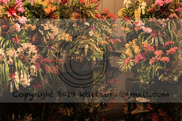 IMG_8670.PHS  MARCH 5  2019 KTIP LAURA'S PHOTOS