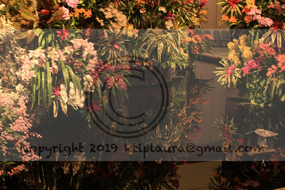 IMG_8674.PHS  MARCH 5  2019 KTIP LAURA'S PHOTOS