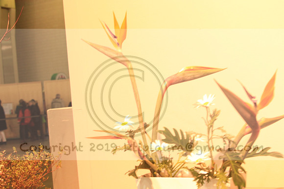 IMG_8678.PHS  MARCH 5  2019 KTIP LAURA'S PHOTOS