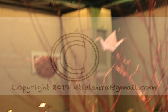 IMG_8680.PHS  MARCH 5  2019 KTIP LAURA'S PHOTOS