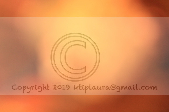 IMG_8703.PHS  MARCH 5  2019 KTIP LAURA'S PHOTOS