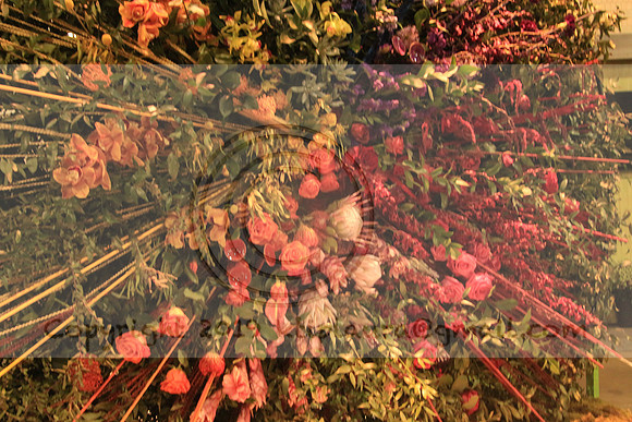IMG_8711.PHS  MARCH 5  2019 KTIP LAURA'S PHOTOS