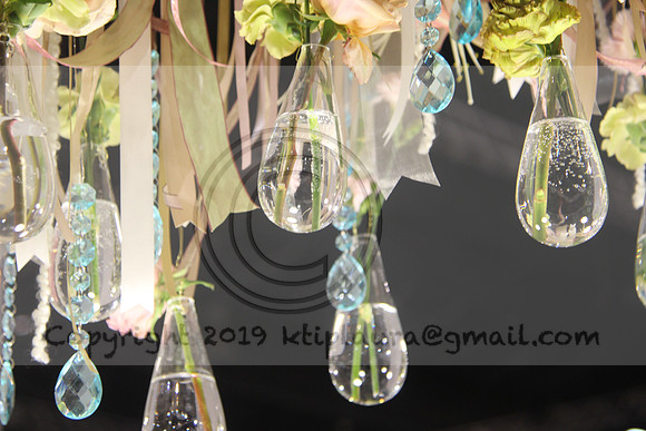 IMG_8718.PHS  MARCH 5  2019 KTIP LAURA'S PHOTOS