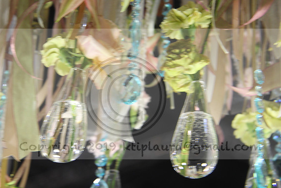 IMG_8719.PHS  MARCH 5  2019 KTIP LAURA'S PHOTOS