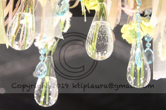 IMG_8722.PHS  MARCH 5  2019 KTIP LAURA'S PHOTOS