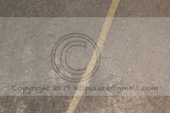 IMG_8724.PHS  MARCH 5  2019 KTIP LAURA'S PHOTOS
