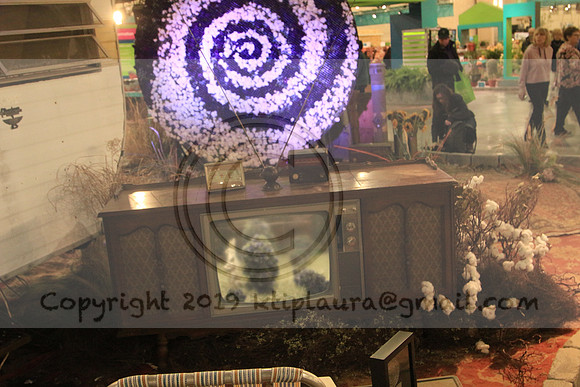 IMG_8740.PHS  MARCH 5  2019 KTIP LAURA'S PHOTOS