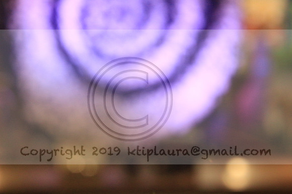 IMG_8744.PHS  MARCH 5  2019 KTIP LAURA'S PHOTOS