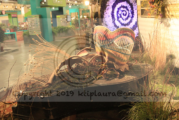 IMG_8745.PHS  MARCH 5  2019 KTIP LAURA'S PHOTOS
