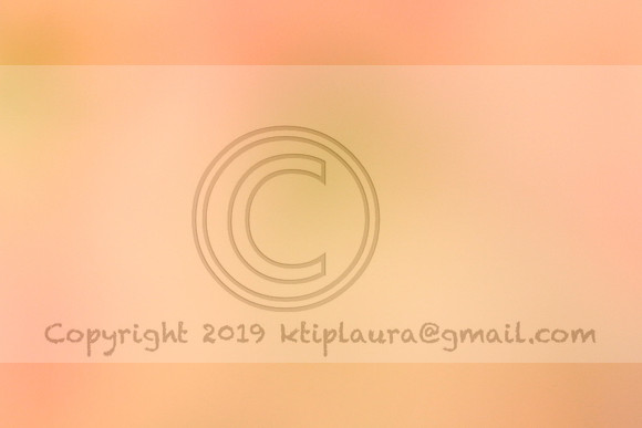 IMG_8760.PHS  MARCH 5  2019 KTIP LAURA'S PHOTOS