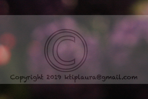IMG_8763.PHS  MARCH 5  2019 KTIP LAURA'S PHOTOS