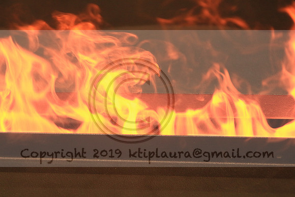 IMG_8787.PHS  MARCH 5  2019 KTIP LAURA'S PHOTOS