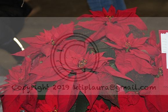IMG_8820.PHS  MARCH 5  2019 KTIP LAURA'S PHOTOS