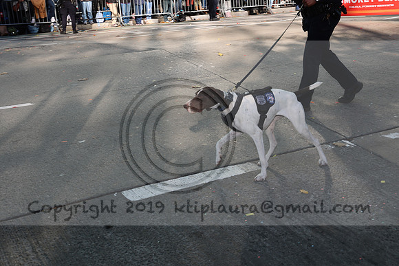 3I7A3951. thanksgiving 2023 NEW YORK Nov 2023