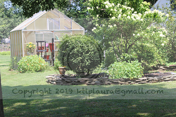 IMG_2590.Torpedopot July 26,2020 @KTIP Laura Elam