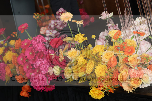 IMG_9616.    PHS  01192024 ktiplaura@gmail.com