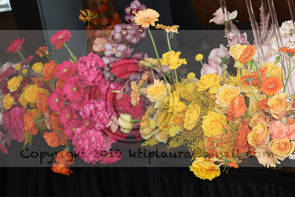 IMG_9617.    PHS  01192024 ktiplaura@gmail.com