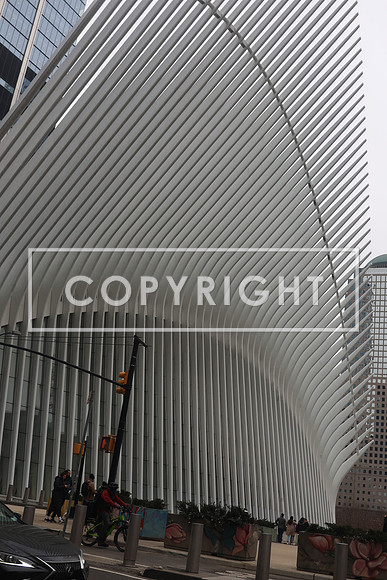 EG256752 2025 NEW YORK KTIPLAURA