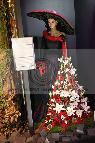 IMG_0503.   PHS 2024 0301  ktiplaura@gmail.com
