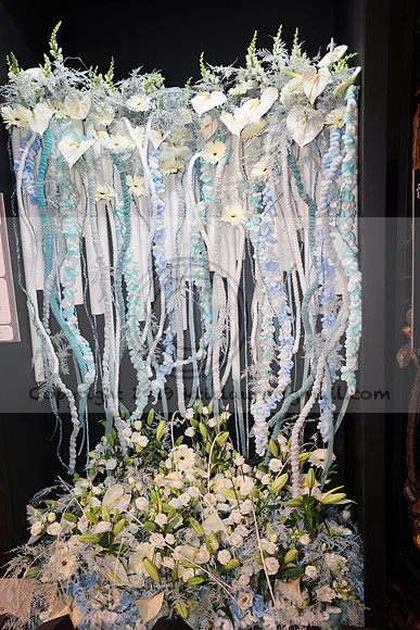 IMG_0505.   PHS 2024 0301  ktiplaura@gmail.com