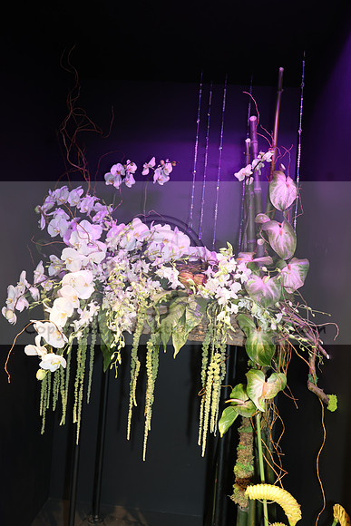 IMG_0514.   PHS 2024 0301  ktiplaura@gmail.com