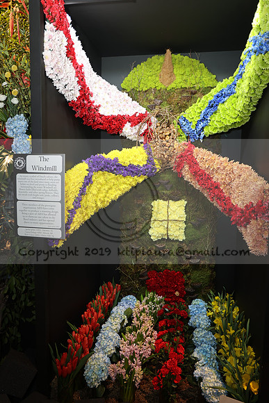IMG_0517.   PHS 2024 0301  ktiplaura@gmail.com