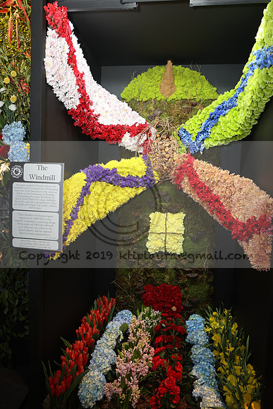 IMG_0518.   PHS 2024 0301  ktiplaura@gmail.com