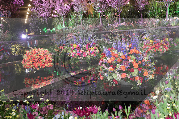 IMG_0567.   PHS 2024 0301  ktiplaura@gmail.com
