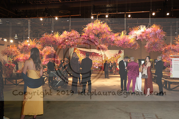 IMG_0578.   PHS 2024 0301  ktiplaura@gmail.com