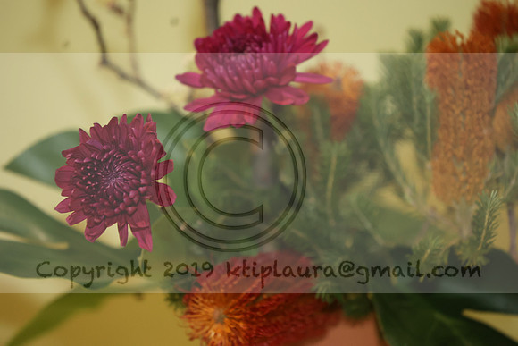 LEET3058.   PHS 2024 0305 ktiplaura@gmail.com