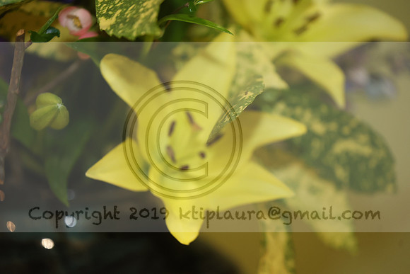 LEET3059.   PHS 2024 0305 ktiplaura@gmail.com