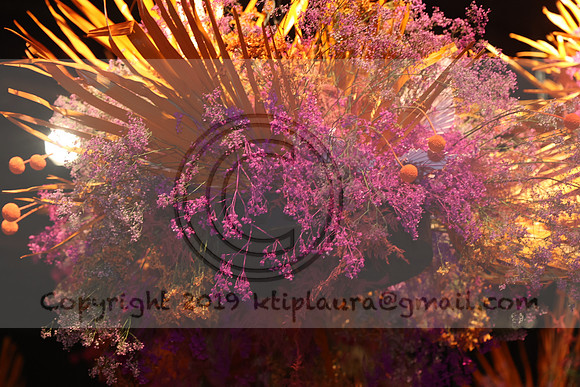 LEET2944.   PHS 2024 0305 ktiplaura@gmail.com