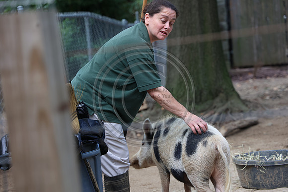 KTIN9351. Philadelphia Zoo 08112024 ktiplaura@gmail.com